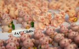 Pig figurines are on display at a stand at the New Year's market in Gyor, Hungary. Often, Hungarians eat roasted pig on New Years' Eve as some believe that this will bring luck. Photo EPA, Csaba Krizsan 
