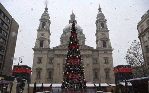  A Christmas tree at the Saint Stephen's Cathedral, during snowfall in the centre of Budapest, Hungary. Photo EPA, Zoltan Mathe 