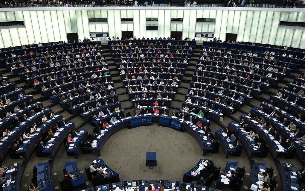 EP calls for making abortion a fundamental right
