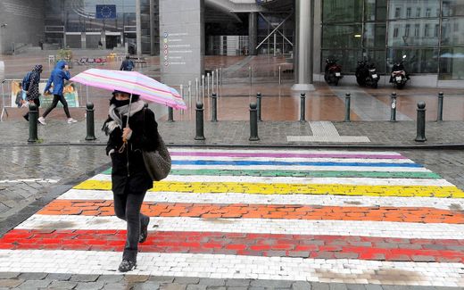 A 'gaybra' in Brussels, in front of the European Parliament. Photo AFP, John Thys