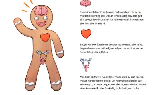 Content showing the Gender Bread Person, a symbol that stands for the ability to choose your own gender. The image comes from a science textbook for third and fourth graders. Photo screenshot Skeivteori.no