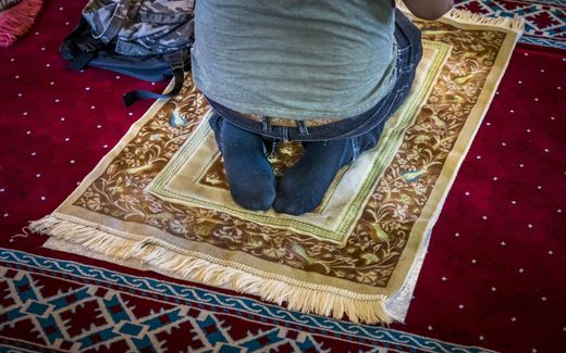 Dutch Muslims pray the morning prayer. Photo ANP, Lex van Lieshout
