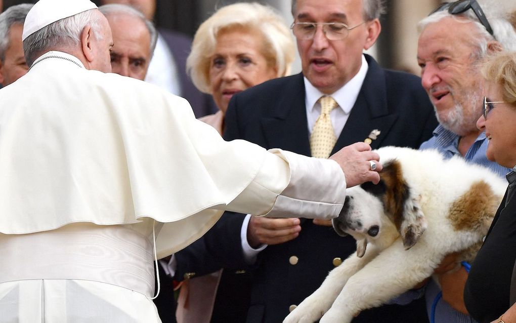 Don’t only take dogs, but get children too, says Pope 