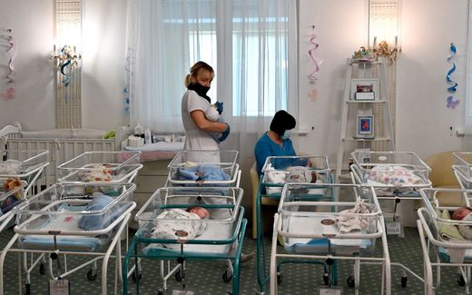 Nurses take care of babies born from surrogacy. Photo AFP, Sergei Supinsky 

