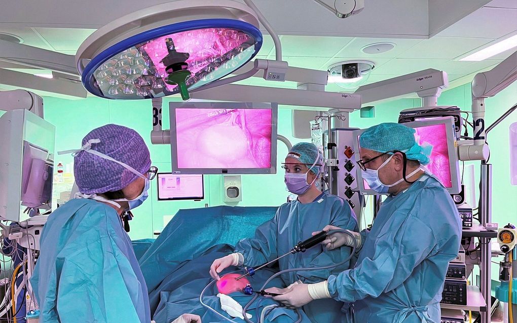 Paediatric surgeon amazed by God's creation of human body  