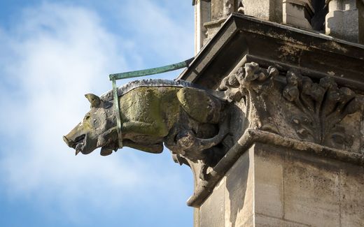 Judensau fountain at the Cathedral in Cologne. It shows a Jewish person underneath the sow. Photo Wikipedia 