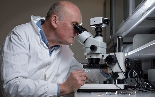 Scientist conducting microscopic research. Photo AFP, Ben Stansall
