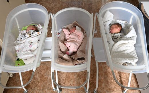 Surrogacy is an infringement on children's rights, the Italian government believes. Photo AFP, Yuriy Dyachyshyn