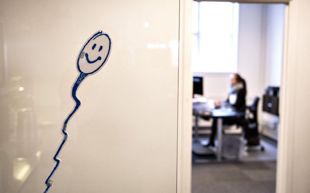 Danish sperm bank should set a limit, Dutch experts urge  