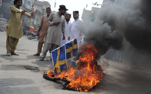 Protesters burn Swedish flags to protest against Sweden over burning of the copy of Koran in Sweden. Photo EPA, Nadeem Khawar