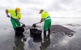 Municipal workers clean Los Urrutias beach at the Mar Meno. Photo EPA, Marcial Guillen