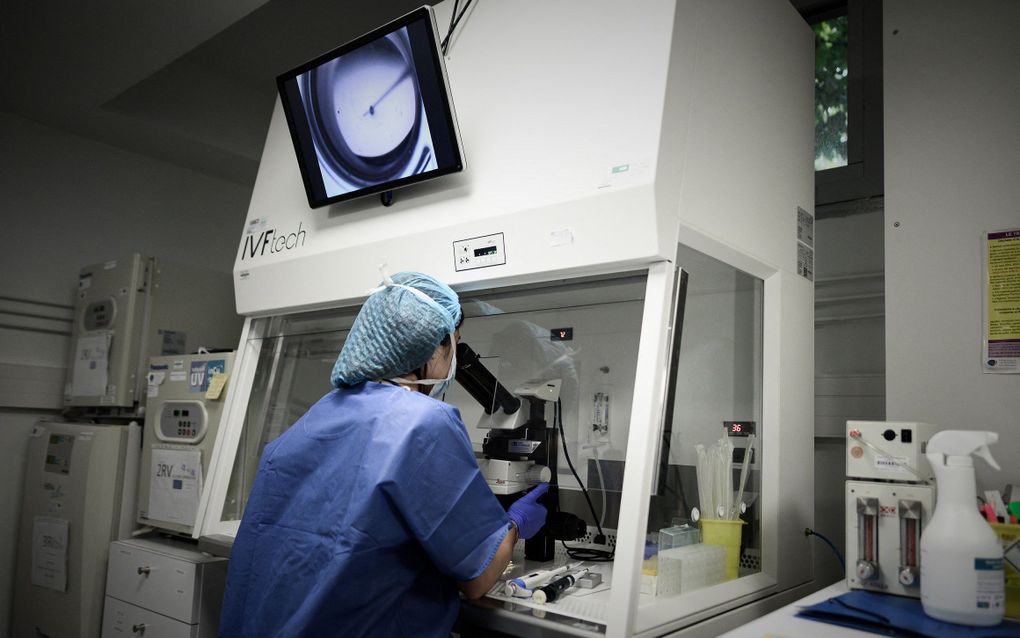 Polish opposition wants state funding for IVF 