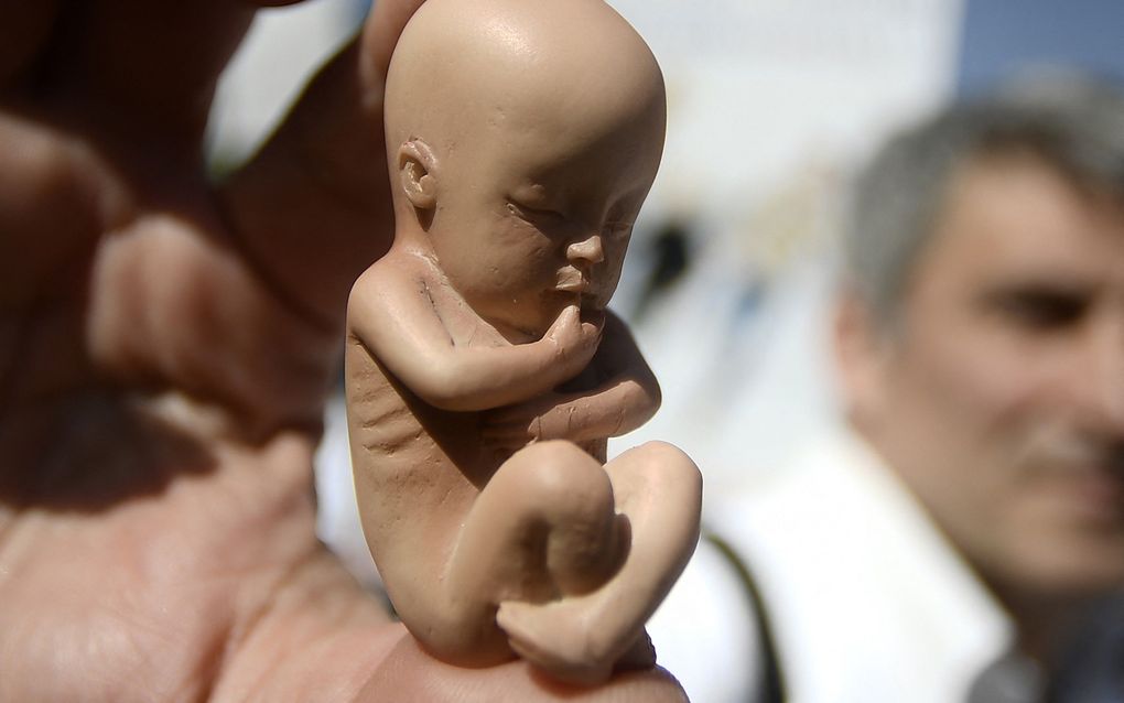 Italian politician wants to give the unborn legal capacity 