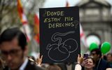 A demonstrator holds up a placard depicting a foetus and reading "Where are my rights?" during the anti-abortion march in Madrid. Photo AFP, Ocar Del Pozo
