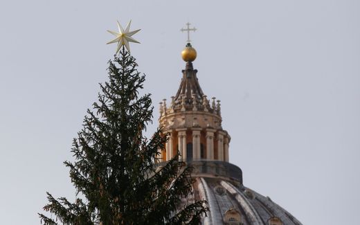 A Christmas tree in St. Peter's Square in Vatican City. Photo EPA, Fabio Frustaci