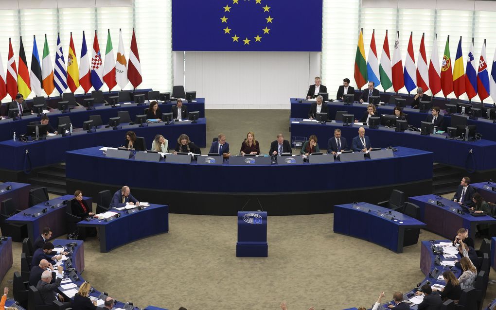 EP wants stricter supervision on subsidies for Palestine 