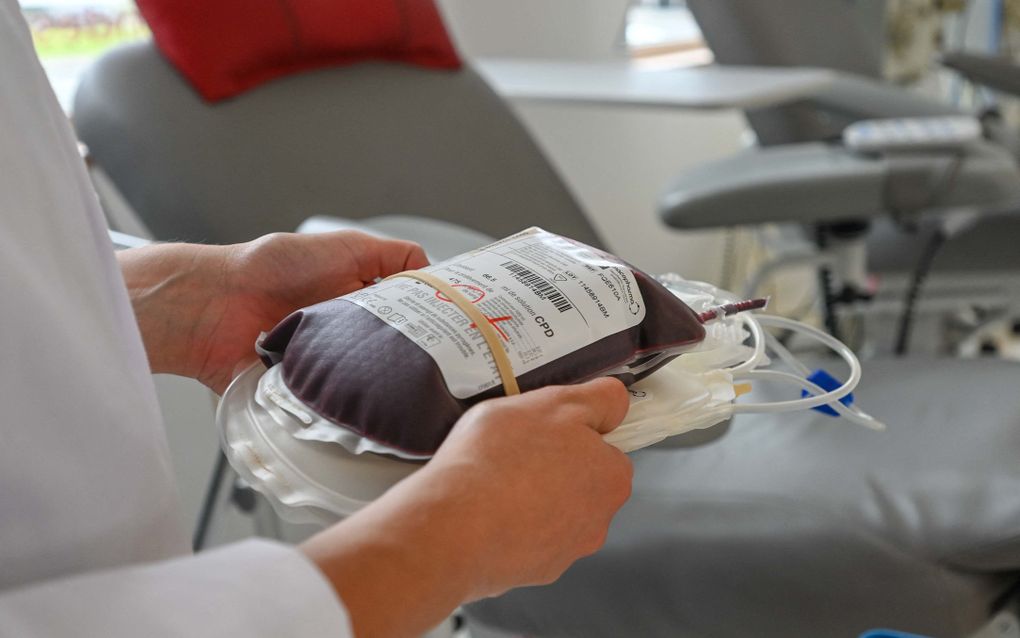 Dutch blood bank wants equal rules for donation of gay people  
