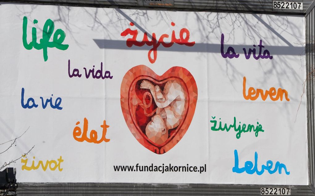 Strict Polish law leads to 65 per cent fewer abortions