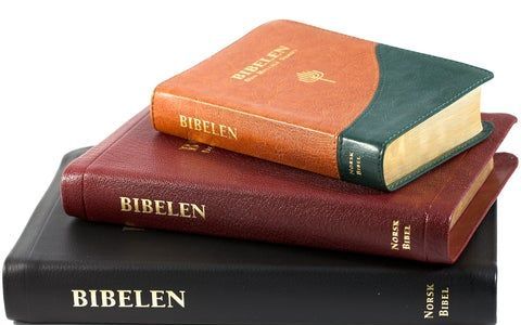 Organisations are not allowed to give a Bible to Norwegian school kids. Photo norsk-bibel.no