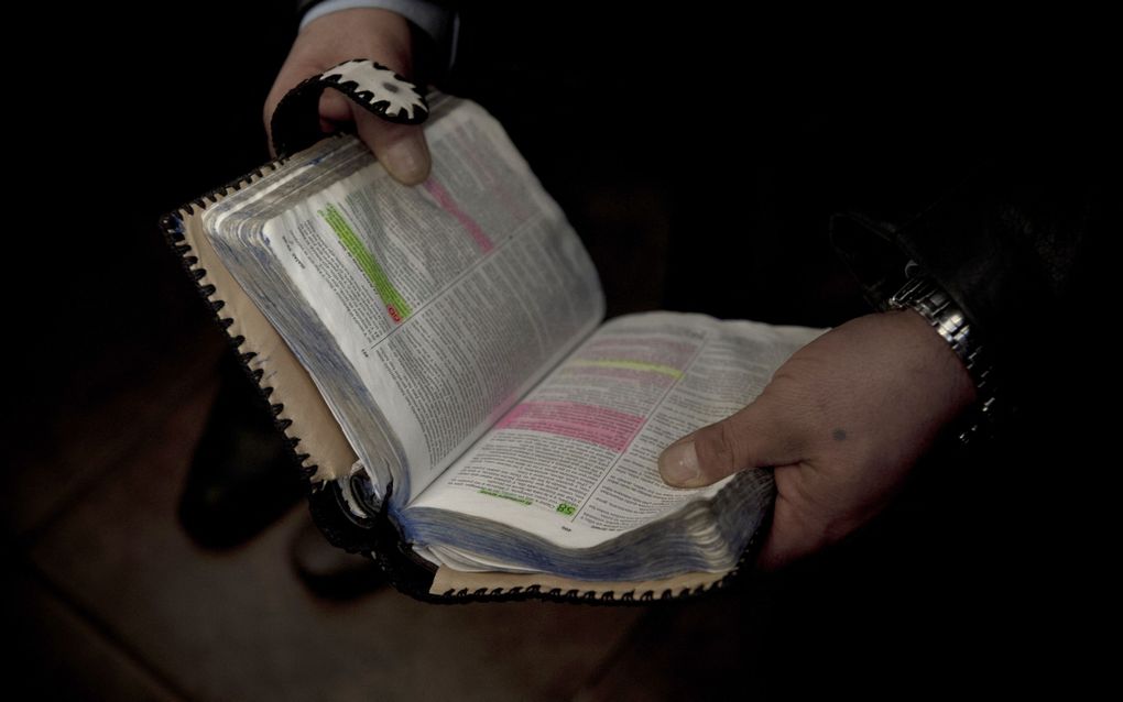 More Bibles distributed in 2021 