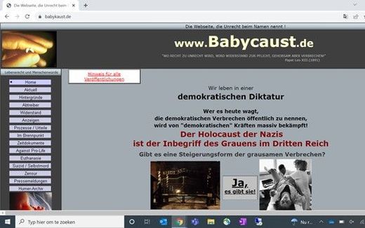Screenshot of the website Babycaust. Photo CNE.news