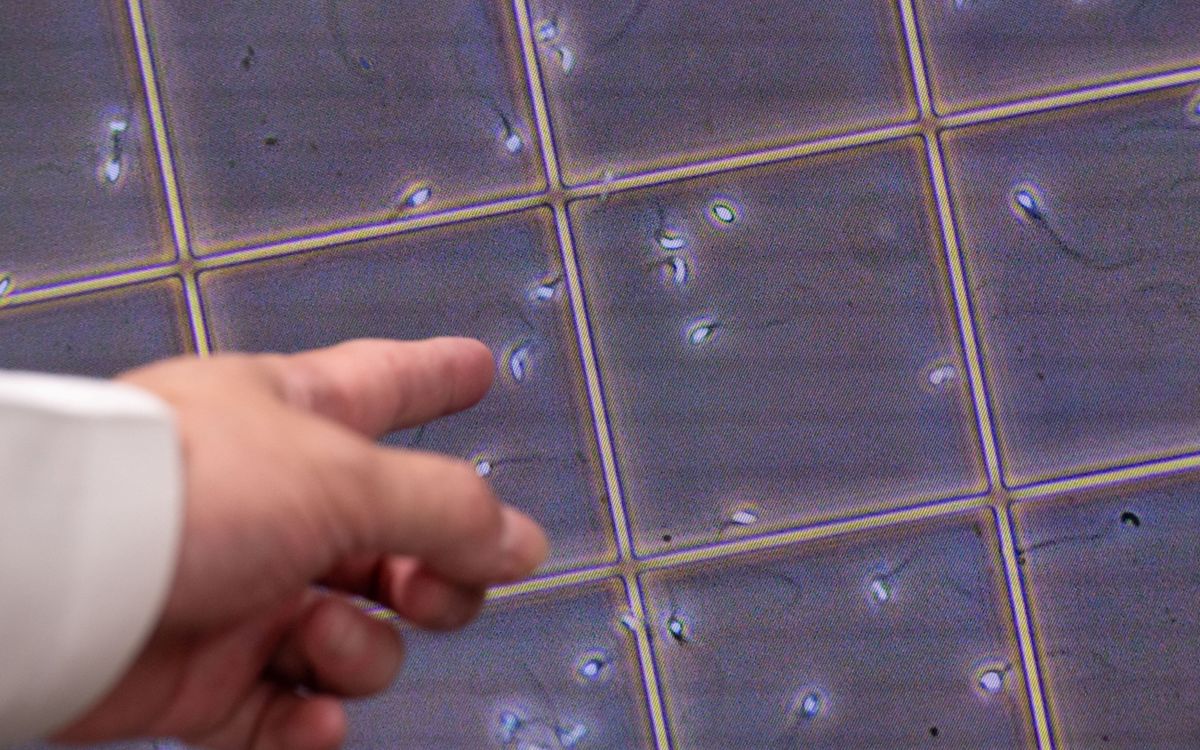 Danish man sentenced for illegal sperm distribution